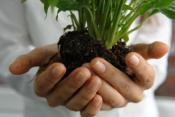How To Celebrate Earth Day 2013